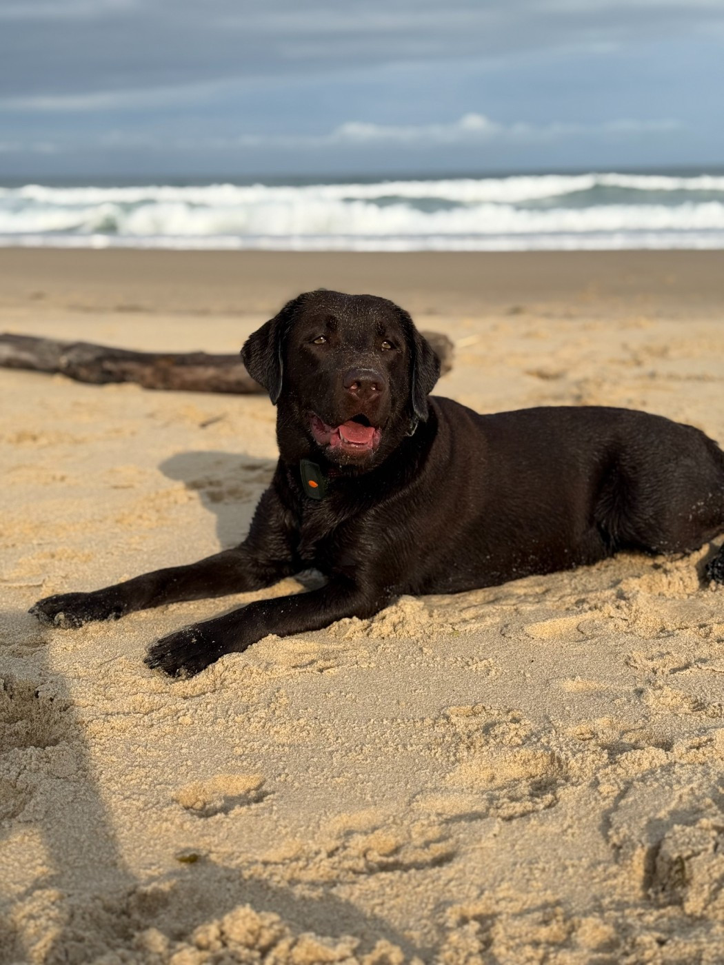 Umpalumpa Minich De La Pointe